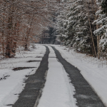 tire tracks through snow on a road lined by trees