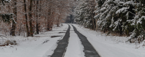 tire tracks through snow on a road lined by trees