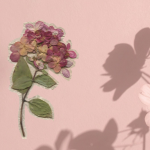 flower sticker on a pink flower shadow background