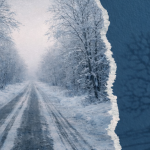 Winter road lined with snow-covered trees