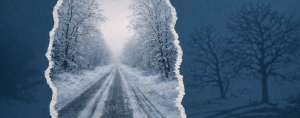 Winter road lined with snow-covered trees