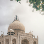 Taj Mahal framed by trees with a dark sky behind