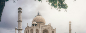 Taj Mahal framed by trees with a dark sky behind