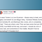 Screenshot of a social media post attributed to Donald J. Trump (@realDonaldTrump), in which he criticizes several media figures by name, including Tucker Carlson, Megyn Kelly, Candace Owens, and Alex Jones, using derogatory language and describing them in contrasting categories of “bad” and “very good” supporters.